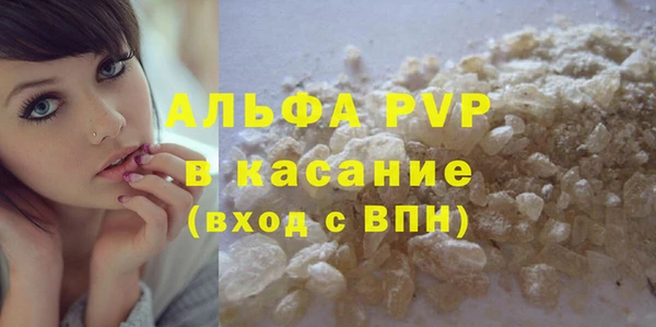 сатива Балахна