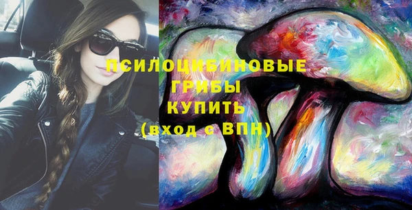 сатива Балахна