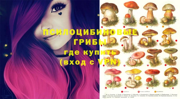 стафф Баксан