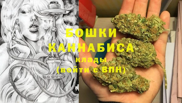 сатива Балахна