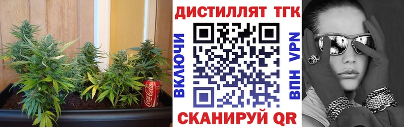 Дистиллят ТГК вейп  Лесной 